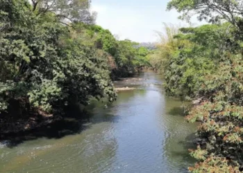 rio-meia-ponte,-em-goiania,-entra-em-nivel-critico,-mas-nao-ha-previsao-de-racionamento