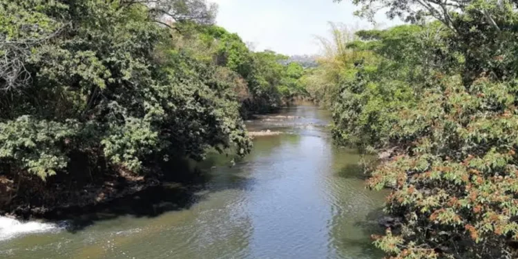 rio-meia-ponte,-em-goiania,-entra-em-nivel-critico,-mas-nao-ha-previsao-de-racionamento