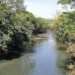 rio-meia-ponte,-em-goiania,-entra-em-nivel-critico,-mas-nao-ha-previsao-de-racionamento