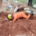 bombeiros-resgatam-cinco-filhotes-presos-em-buraco-em-caldas-novas