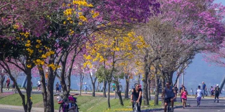 inicio-da-primavera-mantem-goias-em-alerta-para-incendios