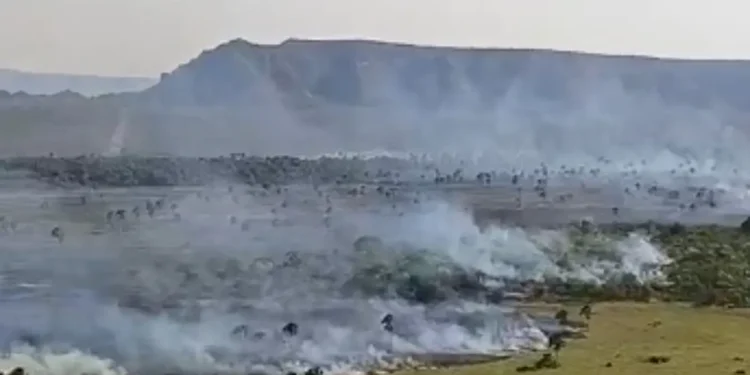 bombeiros-combatem-incendios-em-tres-regioes-de-goias