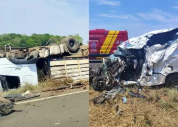 acidente-entre-caminhao-e-carro-deixa-motorista-ferido-e-quatro-bois-mortos-na-go-244