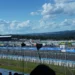 autodromo-de-goiania-sera-reaberto-para-ciclistas-a-partir-de-outubro