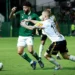 novorizontino-x-goias:-escalacoes,-horario-e-onde-assistir