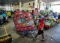 el-nino-dispara-precos-de-hortalicas-em-goias-e-ameaca-safras