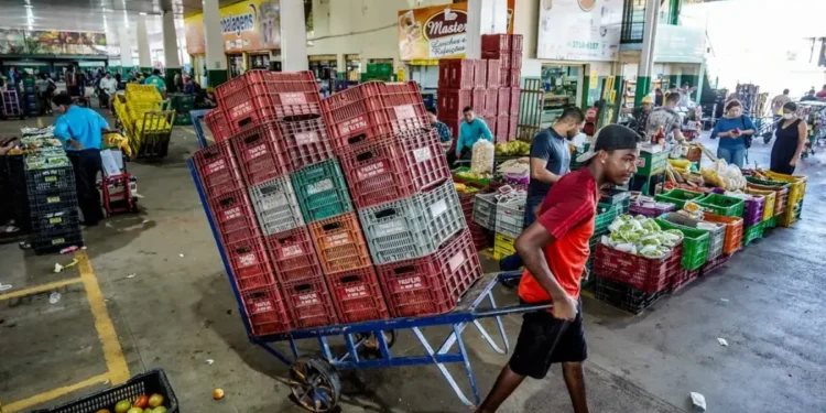 el-nino-dispara-precos-de-hortalicas-em-goias-e-ameaca-safras