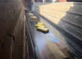 policia-civil-incinera-cerca-de-6,7-toneladas-de-drogas-apreendidas-no-distrito-federal