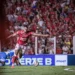 botafogo-sp-x-vila-nova:-escalacoes,-horario-e-onde-assistir