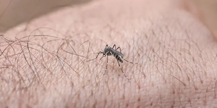 quase-metade-dos-municipios-brasileiros-esta-em-situacao-de-alerta-para-o-aedes-aegypti