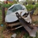 feriado-prolongado-termina-com-cinco-mortes-nas-rodovias-federais-de-goias