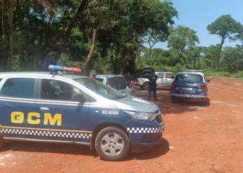 gcm-flagra-descarte-irregular-de-pneus-em-goiania