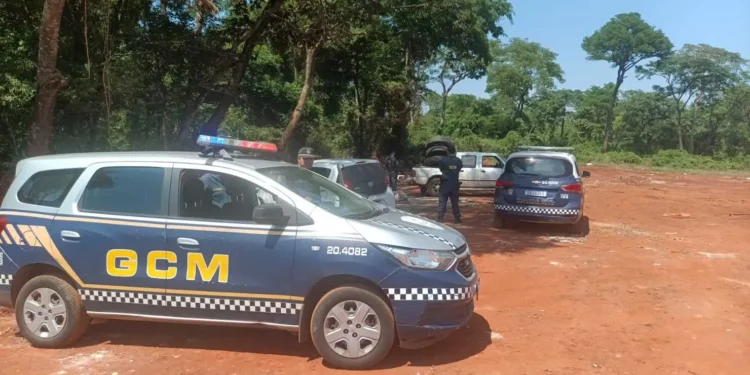 gcm-flagra-descarte-irregular-de-pneus-em-goiania