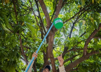 goias-registra-alta-de-dengue-e-chikungunya-e-reforca-combate-ao-mosquito
