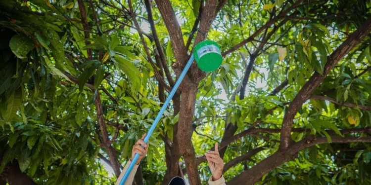 goias-registra-alta-de-dengue-e-chikungunya-e-reforca-combate-ao-mosquito