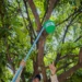 goias-registra-alta-de-dengue-e-chikungunya-e-reforca-combate-ao-mosquito