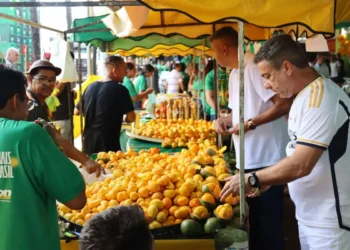 ceasa-go-promove-disputa-de-roer-pequi-com-premio-de-r$-1.000