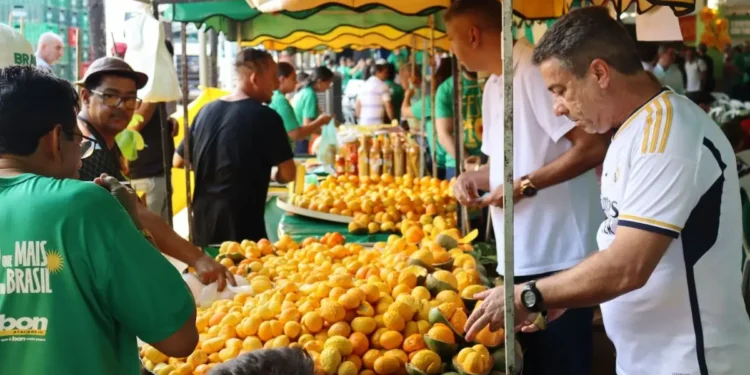 ceasa-go-promove-disputa-de-roer-pequi-com-premio-de-r$-1.000
