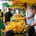 ceasa-go-promove-disputa-de-roer-pequi-com-premio-de-r$-1.000