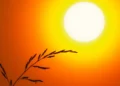 onu-alerta-que-compromissos-climaticos-podem-levar-o-planeta-a-aquecimento-de-2,6°c-ate-2100