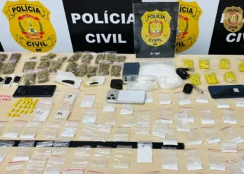 dupla-e-presa-suspeita-de-distribuir-drogas-por-delivery-na-asa-norte-(df)