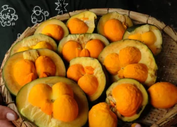 crixas-recebe-titulo-de-capital-goiana-do-pequi;-cidade-celebra-o-fruto-desde-2006