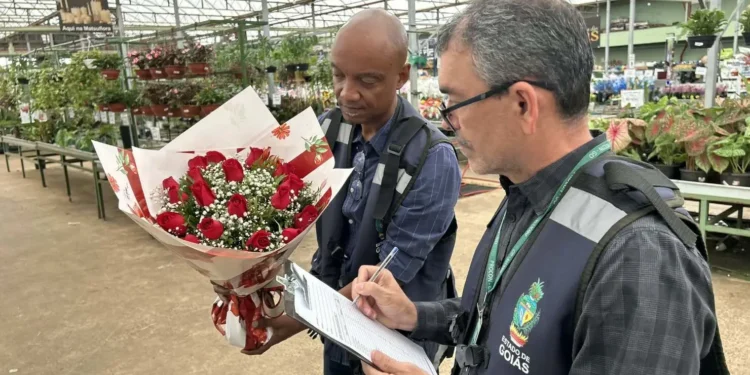 finados:-procon-go-ve-variacao-de-ate-605%-nas-flores