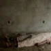 tribunal-do-crime:-pm-prende-4-suspeitos-de-torturar-e-matar-homem-em-goiania