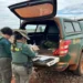 ibama-multa-propriedades-por-milho-transgenico-em-goias